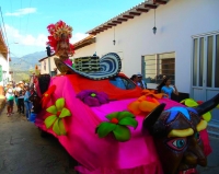 Festival Internacional del Folclor Llanero del Cumare