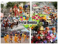 Festival, Ferias, Fiestas y Reinado del Campo Boyacense