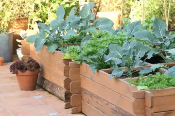 Aprende cómo hacer un huerto casero fácil y rápido