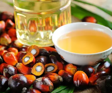 ¿Cuál es el impacto del aceite de palma?