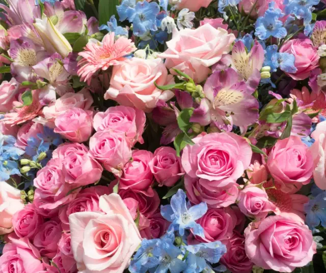 ¿Cuál es el significado de las flores?