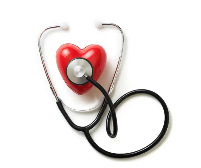 How is World Health Day (WHO) celebrated? 