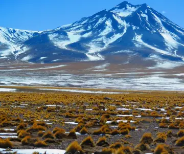 ¿Qué hacer en un viaje por Vicuña, Chile?