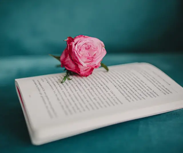 International Poetry Festival in Medellín: A magical cultural encounter 