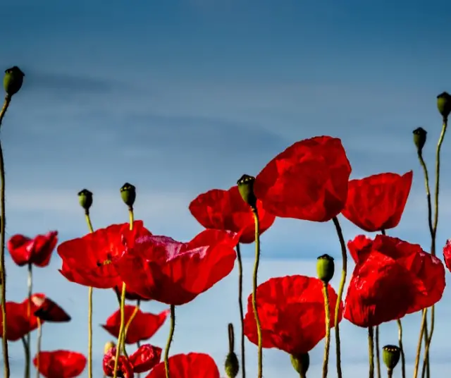 Autumn Equinox (Northern Hemisphere): Meaning behind the seasonal change 