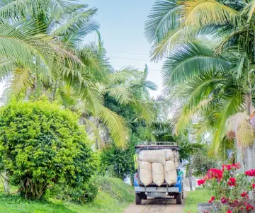 Los mejores destinos turísticos en el Eje Cafetero