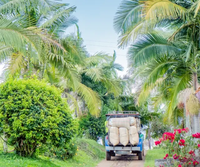 Los mejores destinos turísticos en el Eje Cafetero