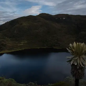Los mejores planes para hacer en Ibagué, Colombia