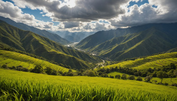 Cómo solicitar el duplicado de la cédula digital en Colombia trámites y requisitos actualizados para 2026