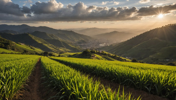 Mejores becas para estudiar en el exterior para colombianos y requisitos para aplicar a convenios internacionales