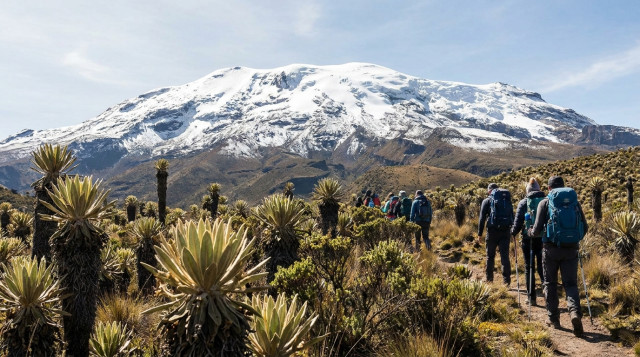 Guía para visitar el Parque Nacional Natural Los Nevados y recomendaciones para conocer la nieve en Colombia