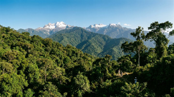 Importancia de la Sierra Nevada de Santa Marta y por qué es un ecosistema único para la biodiversidad de Colombia