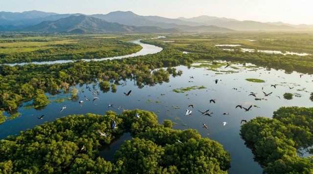 Importancia de los humedales en Colombia y por qué son ecosistemas estratégicos para proteger la biodiversidad en 2026