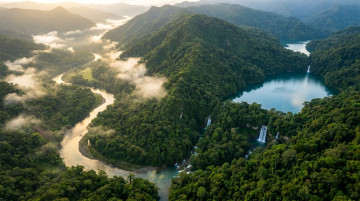 Principales parques naturales de Colombia y su importancia en la protección de ecosistemas estratégicos