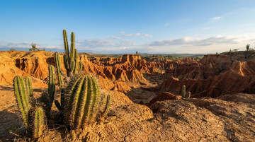 Qué hacer en el Desierto de la Tatacoa y guía completa para visitar este destino en el Huila