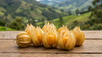 Beneficios de la uchuva para la salud y por qué es considerada una superfruta en Colombia