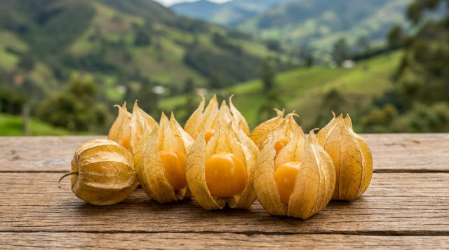 Beneficios de la uchuva para la salud y por qué es considerada una superfruta en Colombia
