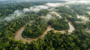 Biodiversidad en Colombia y por qué es el segundo país más megadiverso del mundo