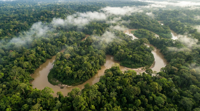 Biodiversidad en Colombia y por qué es el segundo país más megadiverso del mundo
