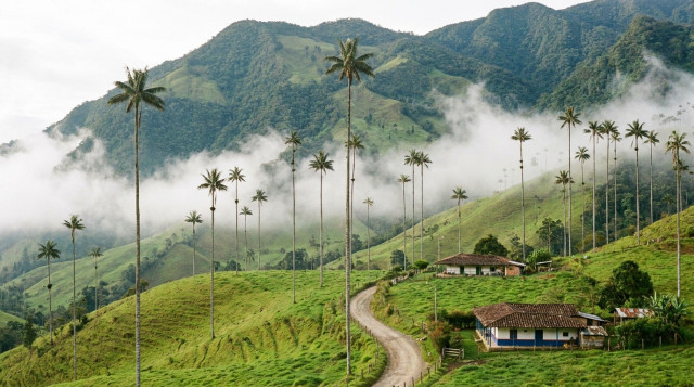 Guía para visitar el Eje Cafetero y los pueblos más bonitos para recorrer en el Quindío y Risaralda