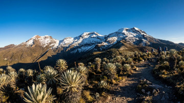 Guía para visitar el Parque Nacional Natural Los Nevados y recomendaciones para conocer sus paisajes de alta montaña