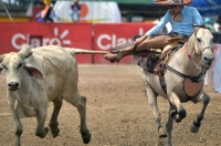 Feria Internacional de San Nicolás