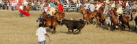 Festival y Reinado Nacional de la Panela