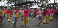 Festival del Hombre Caimán