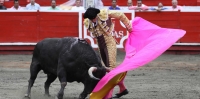 Feria de Malocas