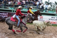 Festival Nacional del Canto Sabanero