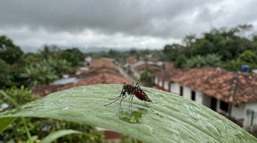 Alerta por dengue en Colombia: Ministerio de Salud emite medidas urgentes ante aumento de casos en 15 departamentos