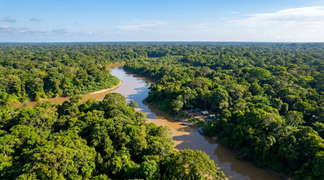 Minambiente presenta plan de choque para frenar la deforestación en la Amazonía colombiana