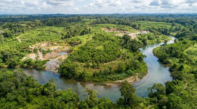 Autoridades ambientales reportan avance en recuperación de ecosistemas afectados por minería ilegal en Colombia