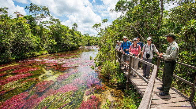 Caño Cristales abre su temporada con nuevas regulaciones ambientales y tarifas para turistas