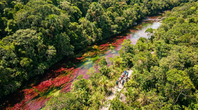 Vista panorámica aérea de Caño Cristales mostrando los colores rojo y verde del río rodeado de selva tropical