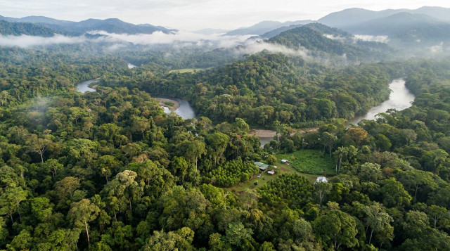 Colombia impulsa proyecto de conservación de bosques para mitigar cambio climático