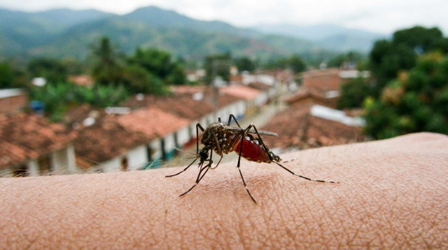 Ministerio de Salud emite alerta por aumento de casos de dengue en Colombia: departamentos más afectados