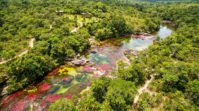 Temporada de Caño Cristales: requisitos y rutas para visitar el río de los siete colores