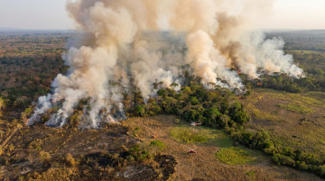 Alerta por aumento de incendios forestales en Colombia: recomendaciones para prevenir daños