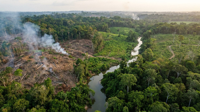 Colombia lanza plan nacional para proteger ecosistemas y combatir la deforestación