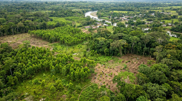 Colombia lanza plan nacional para restaurar bosques y combatir la deforestación